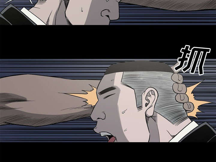 《猛龙回乡》第68话 第50页