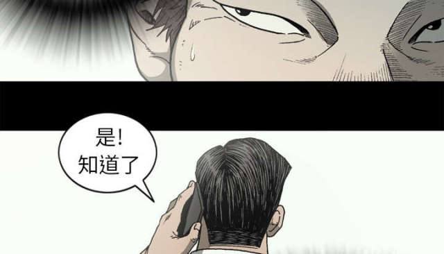 《猛龙回乡》第60话 第11页