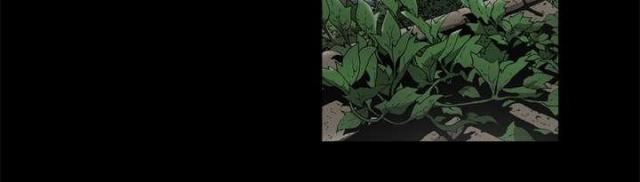 《猛龙回乡》第57话 第42页