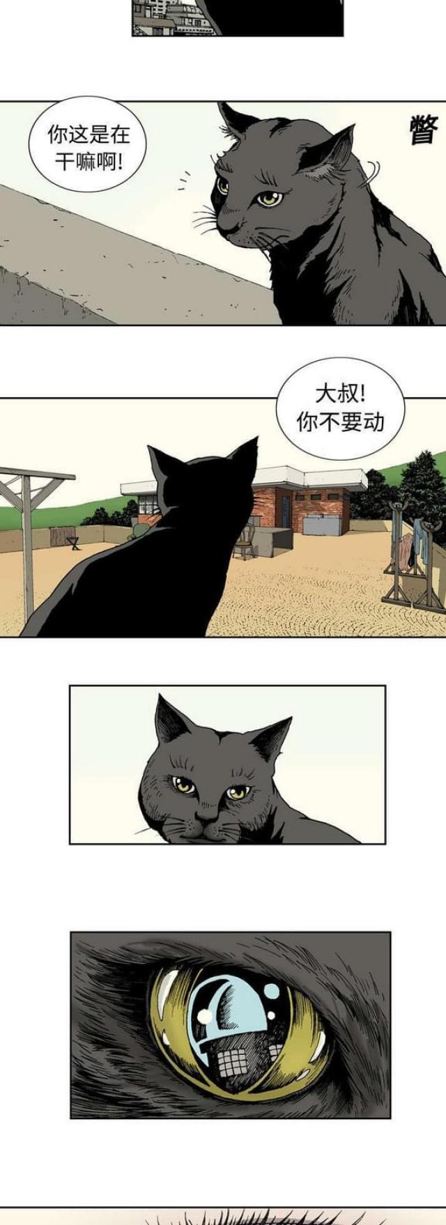 《猛龙回乡》第2话 第9页
