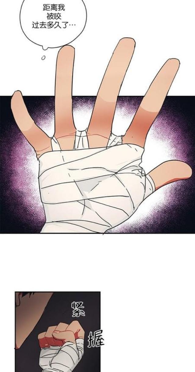 《山谷大逃亡》第53话 第8页