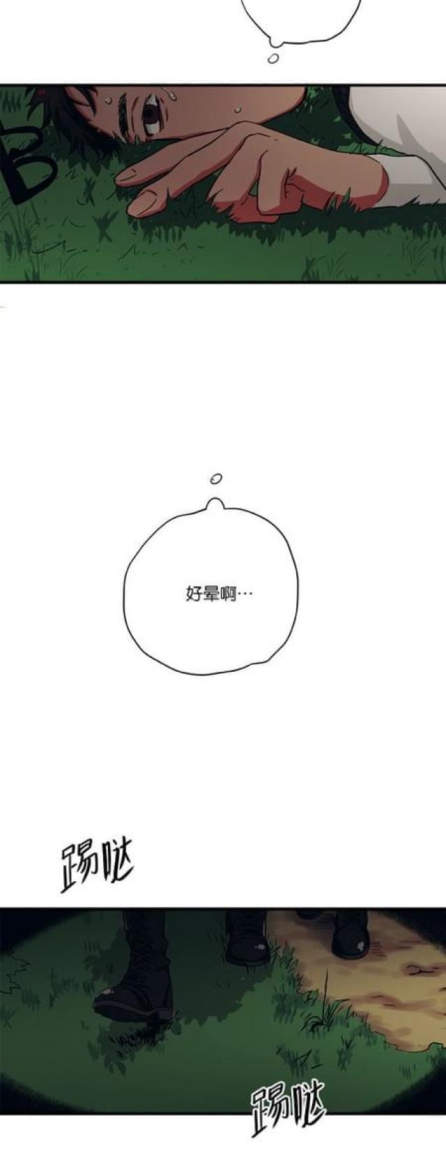 《山谷大逃亡》第61话 第13页