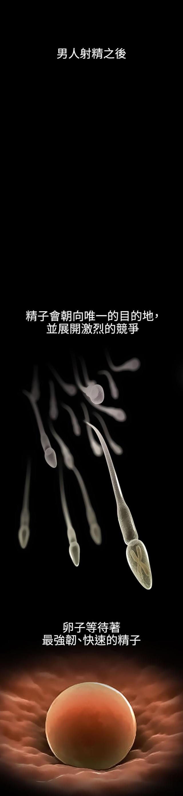 《教授的心思》第40话 第1页