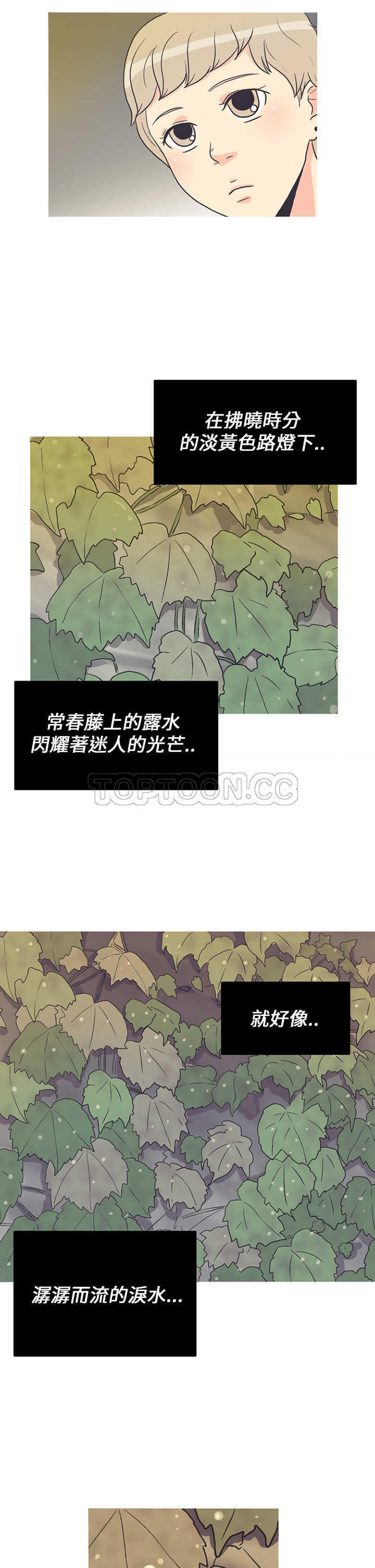 《浪漫短篇特辑(完结)》第2话 拂曉常春藤 第21页