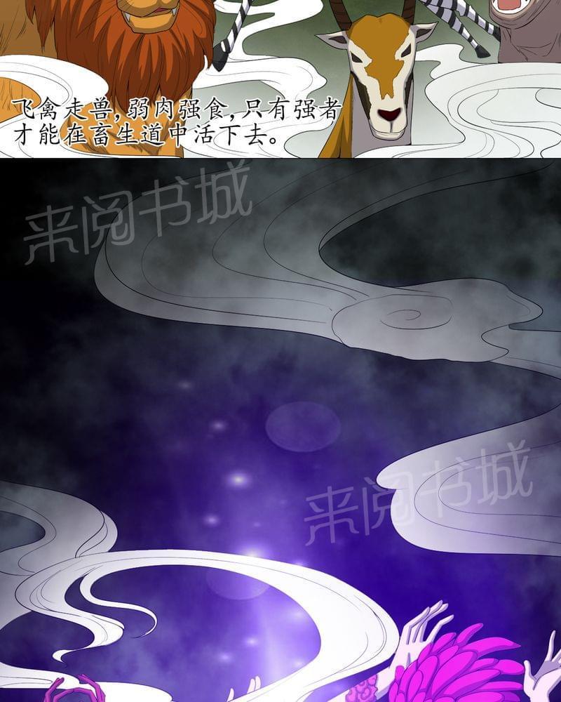 《我在殡仪馆工作的那些事儿》第69话 第23页