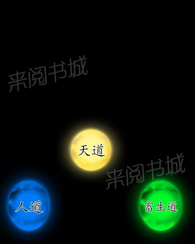 《我在殡仪馆工作的那些事儿》第69话 第29页