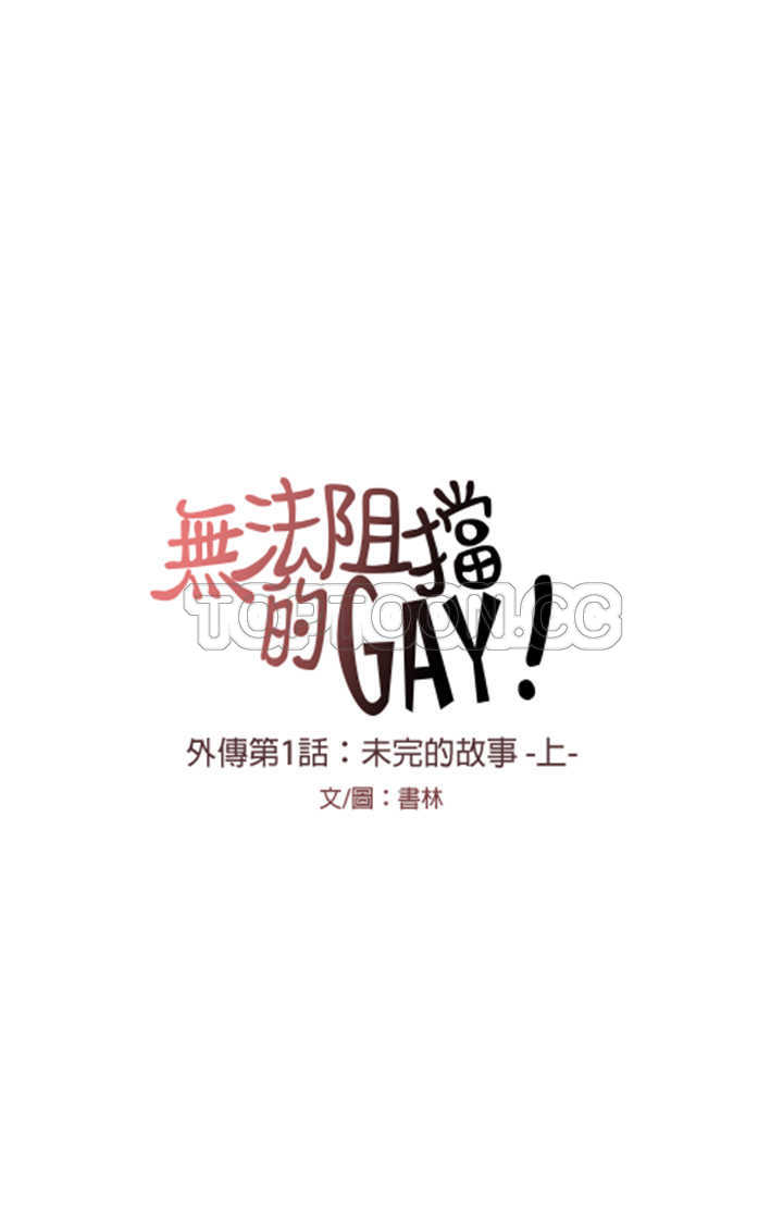 《无法阻挡的Gay(完結)》外傳-第1話 第9页