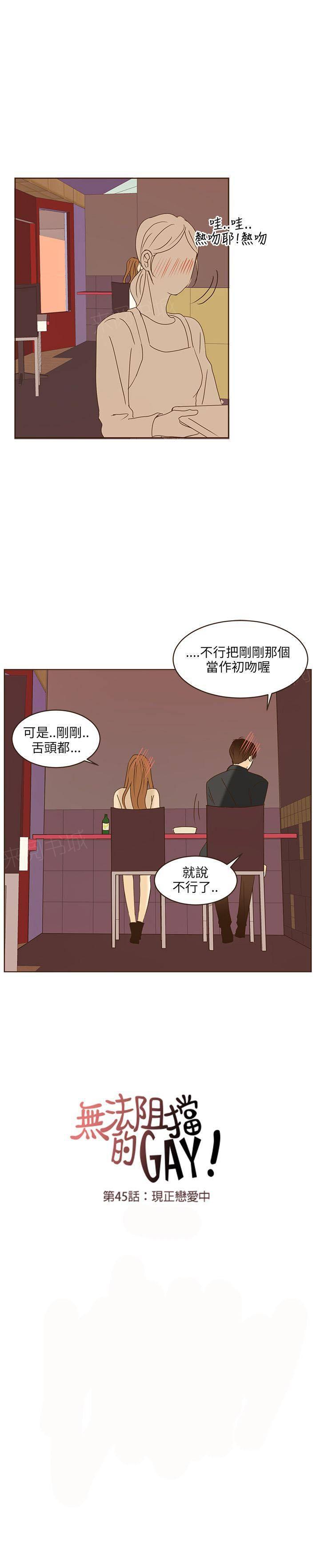 《无法阻挡的Gay》第45话 第17页