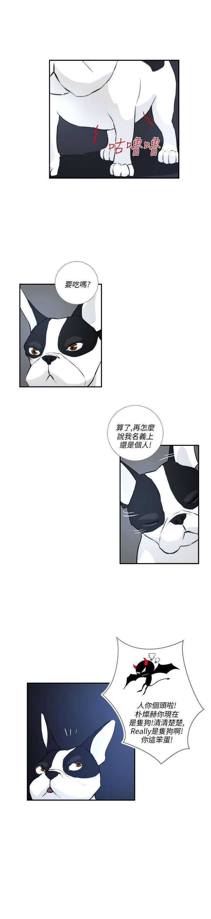 《变成一条狗》第3话 第11页