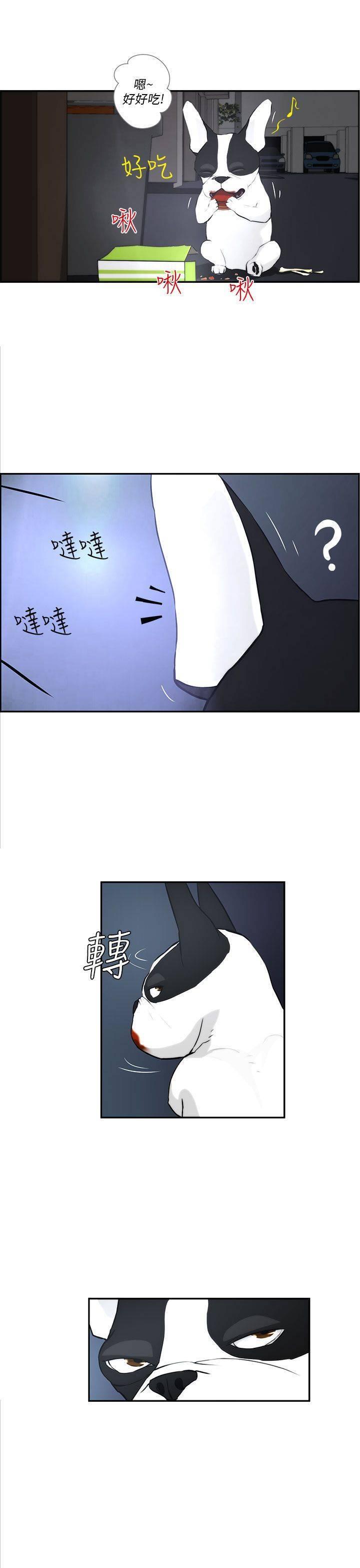 《变成一条狗》第3话 第13页