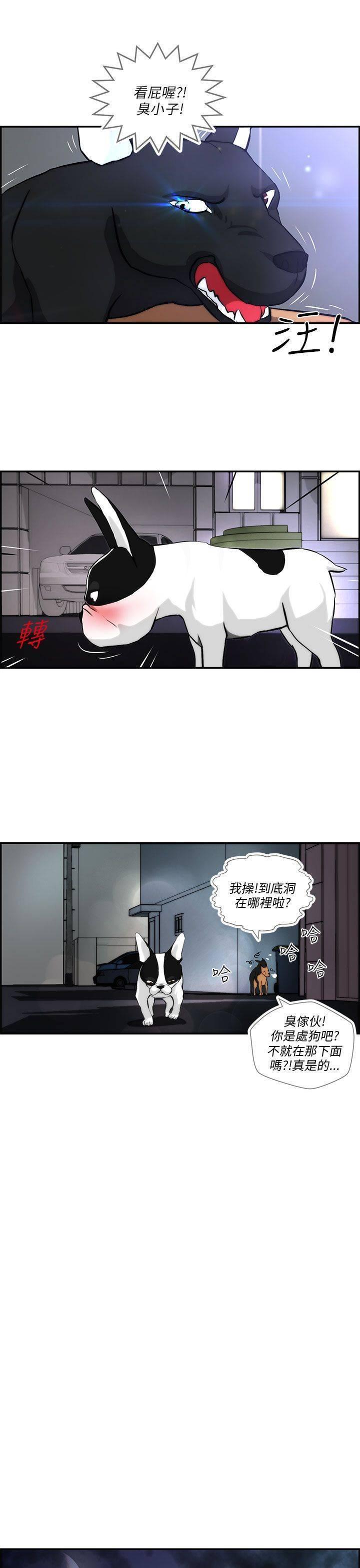 《变成一条狗》第3话 第9页