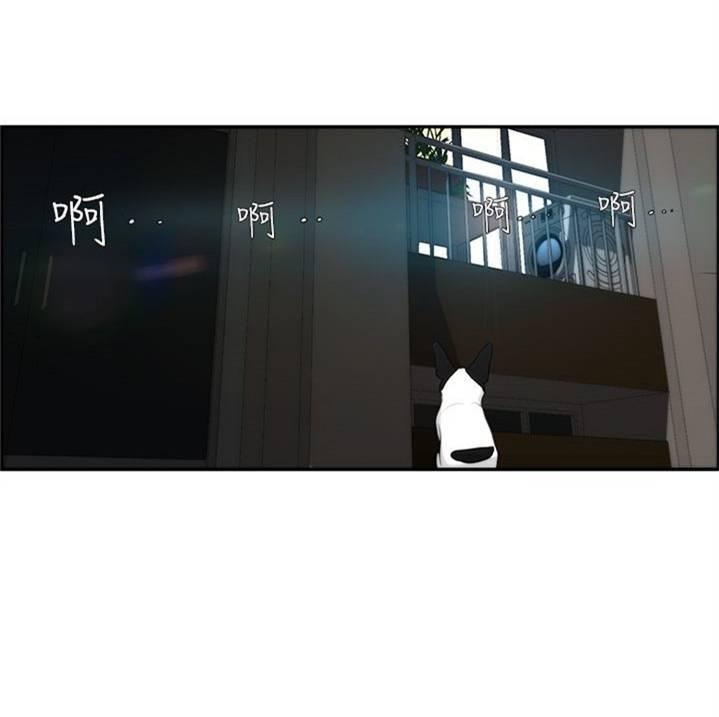 《变成一条狗》第4话 第13页