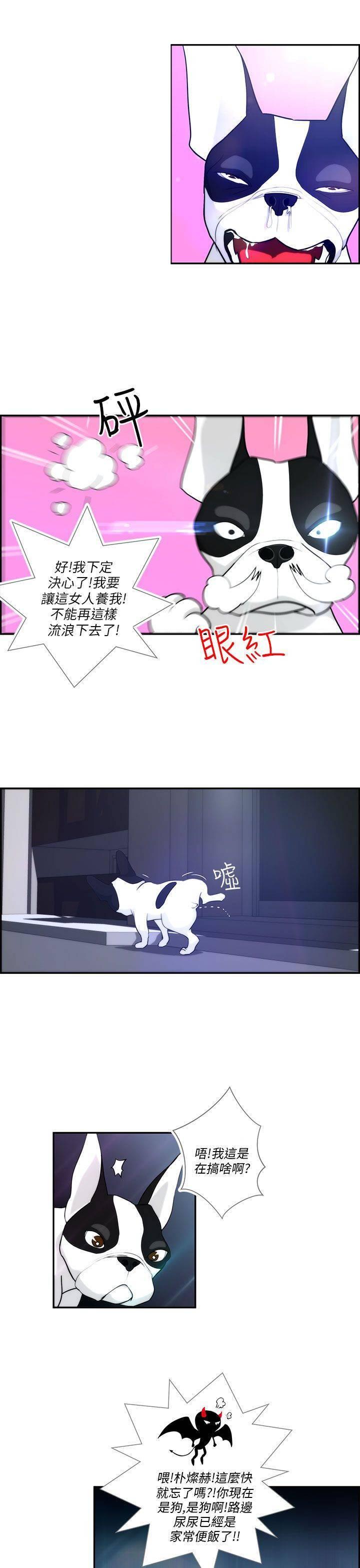 《变成一条狗》第4话 第5页