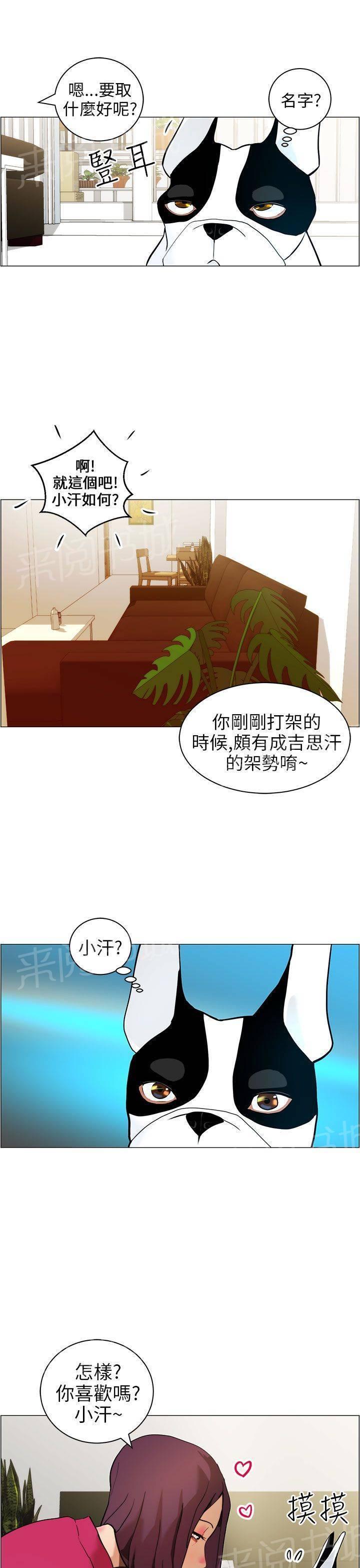 《变成一条狗》第9话 第11页