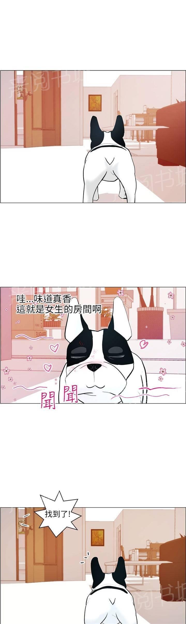 《变成一条狗》第9话 第1页