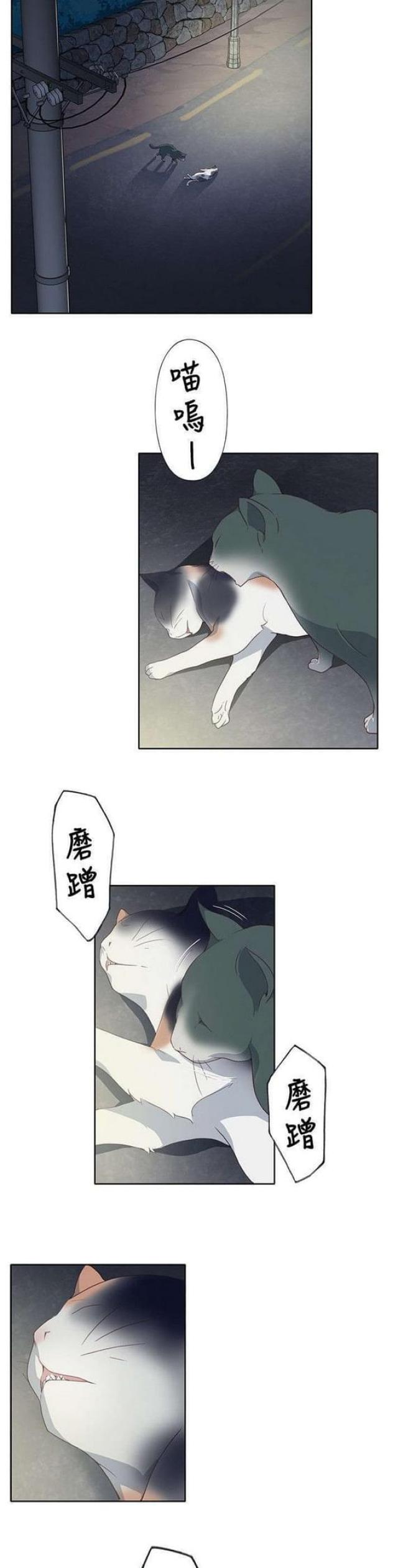 《人体壁画》第11话 第5页