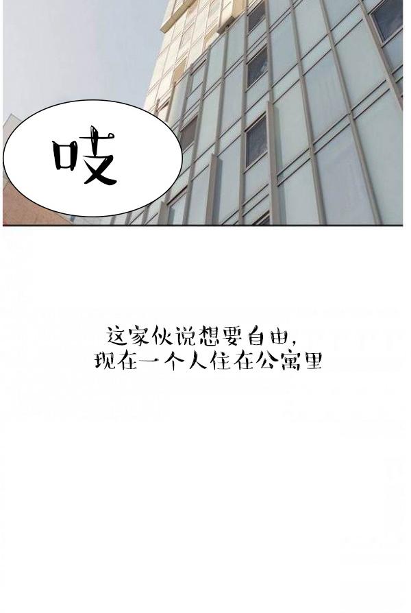 《完美的饲养》第1话 第21页