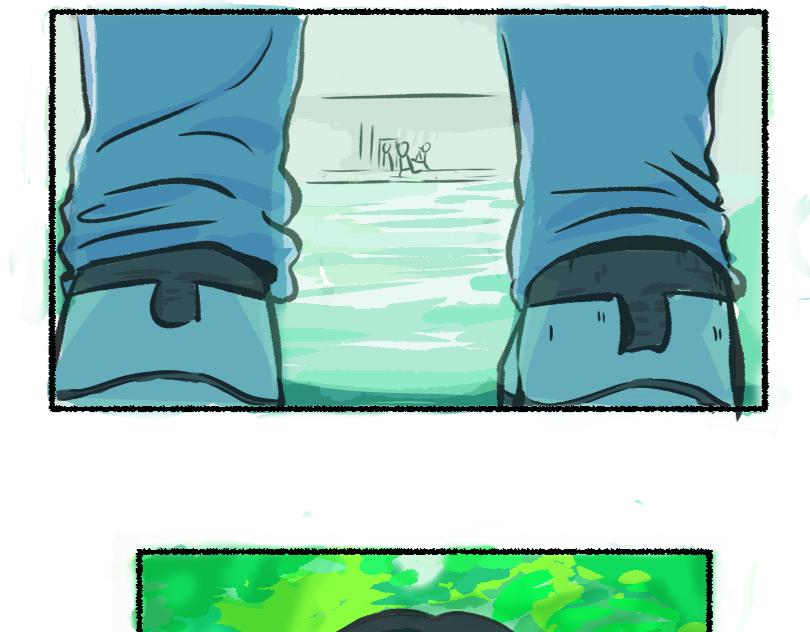 《蛙道囧途》我与青蛙 第14页