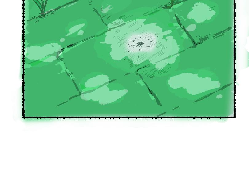 《蛙道囧途》我与青蛙 第16页