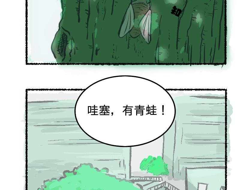 《蛙道囧途》我与青蛙 第20页