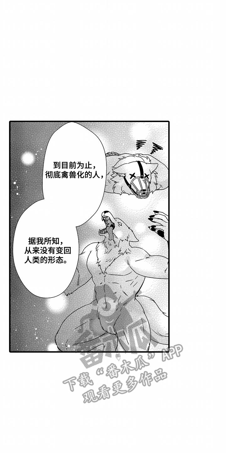 《狼的牙印》第12话 第2页