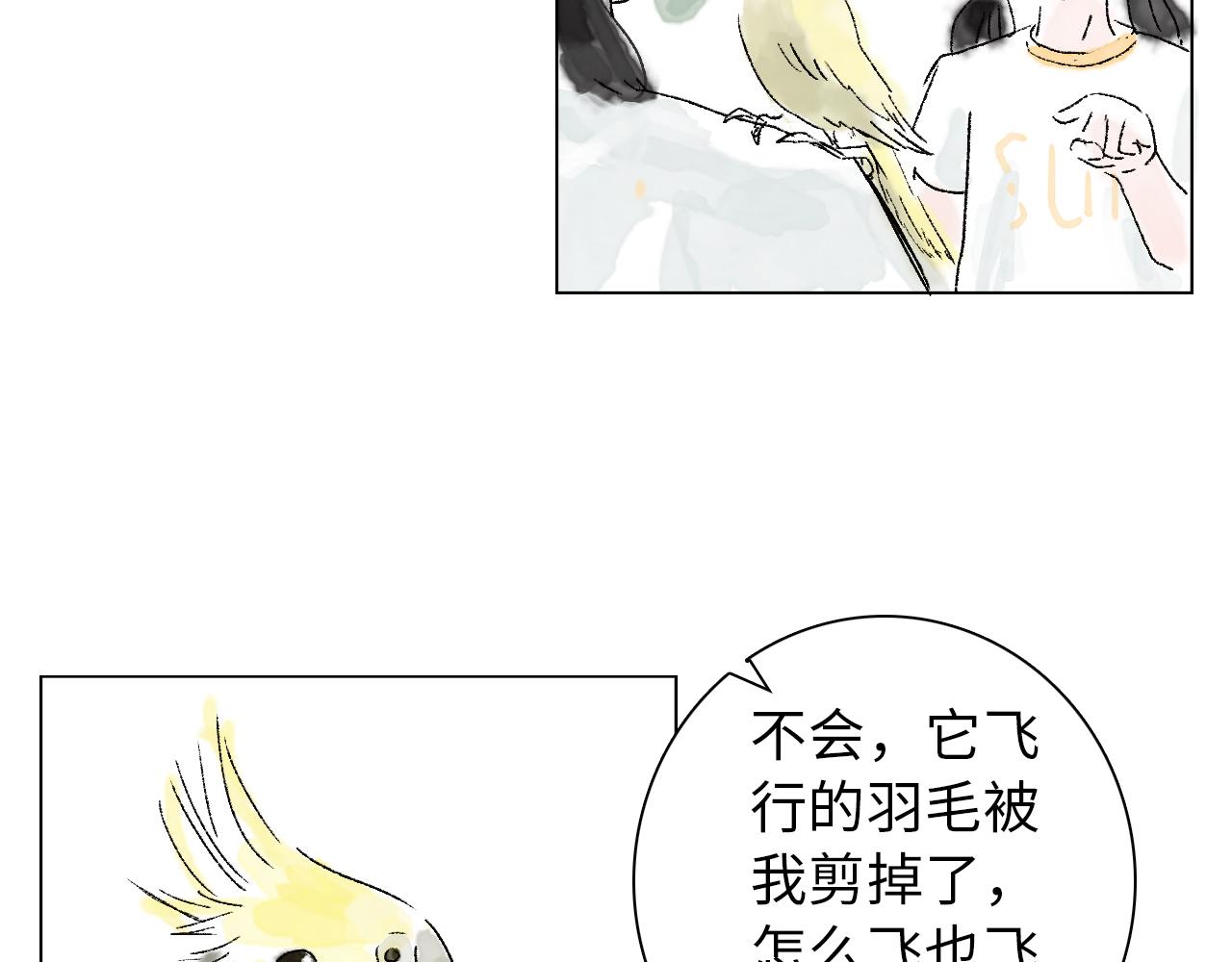 《闪耀羽球》第六球 光和影之间 下 第8页