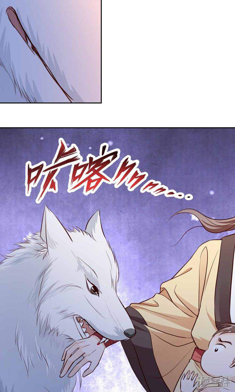《西域皇妃》第46话 第28页