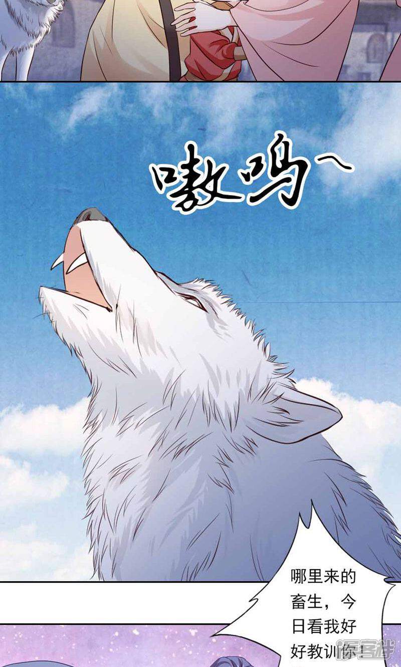 《西域皇妃》第46话 第30页
