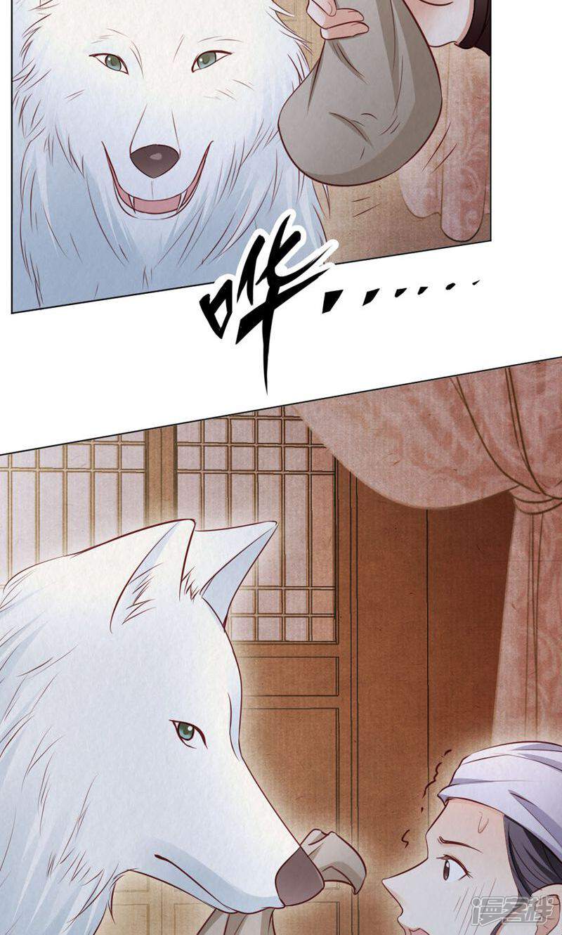 《西域皇妃》第113话 第15页