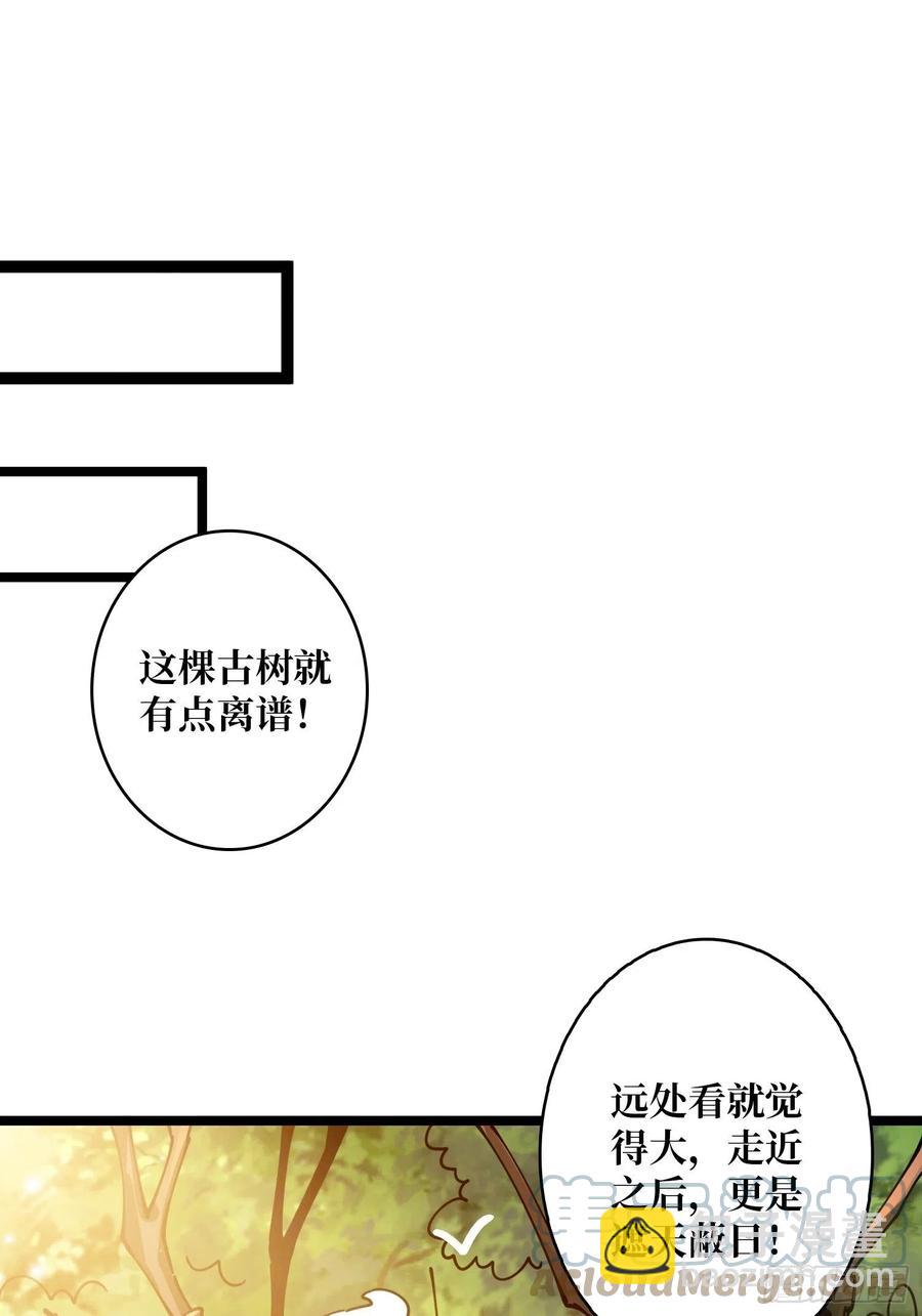 《开局就有王者号》猫的报恩 第40页