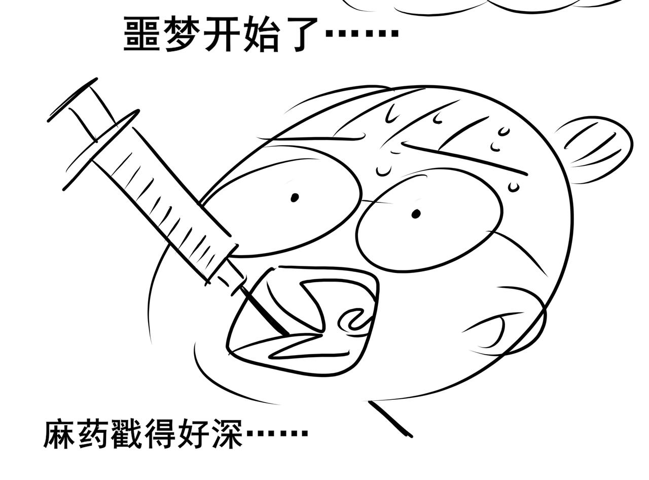 《胖子晴的乱七八糟》番外 胖晴学车看牙 第12页