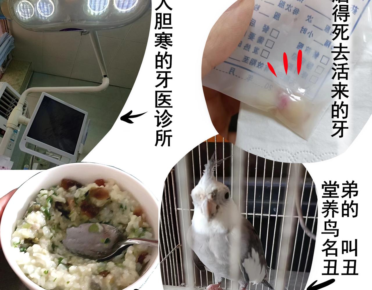 《胖子晴的乱七八糟》番外 胖晴学车看牙 第47页