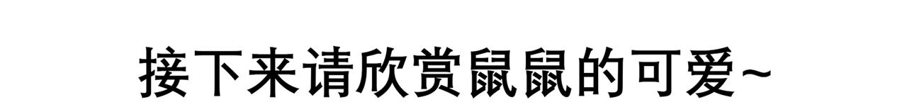《胖子晴的乱七八糟》胖子晴的吸鼠日常 第44页