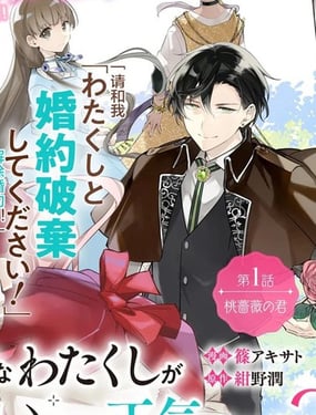 《居然说傲娇的我很可爱，你是认真的吗？》漫画封面图 - tl漫画