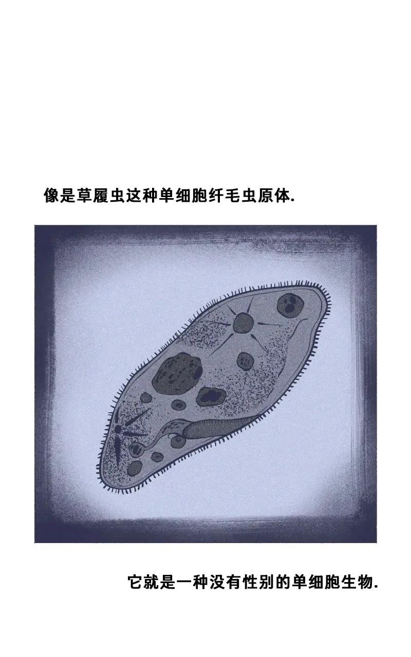 《爱无极限-无限条漫 格温侍篇》格温侍06 第11页