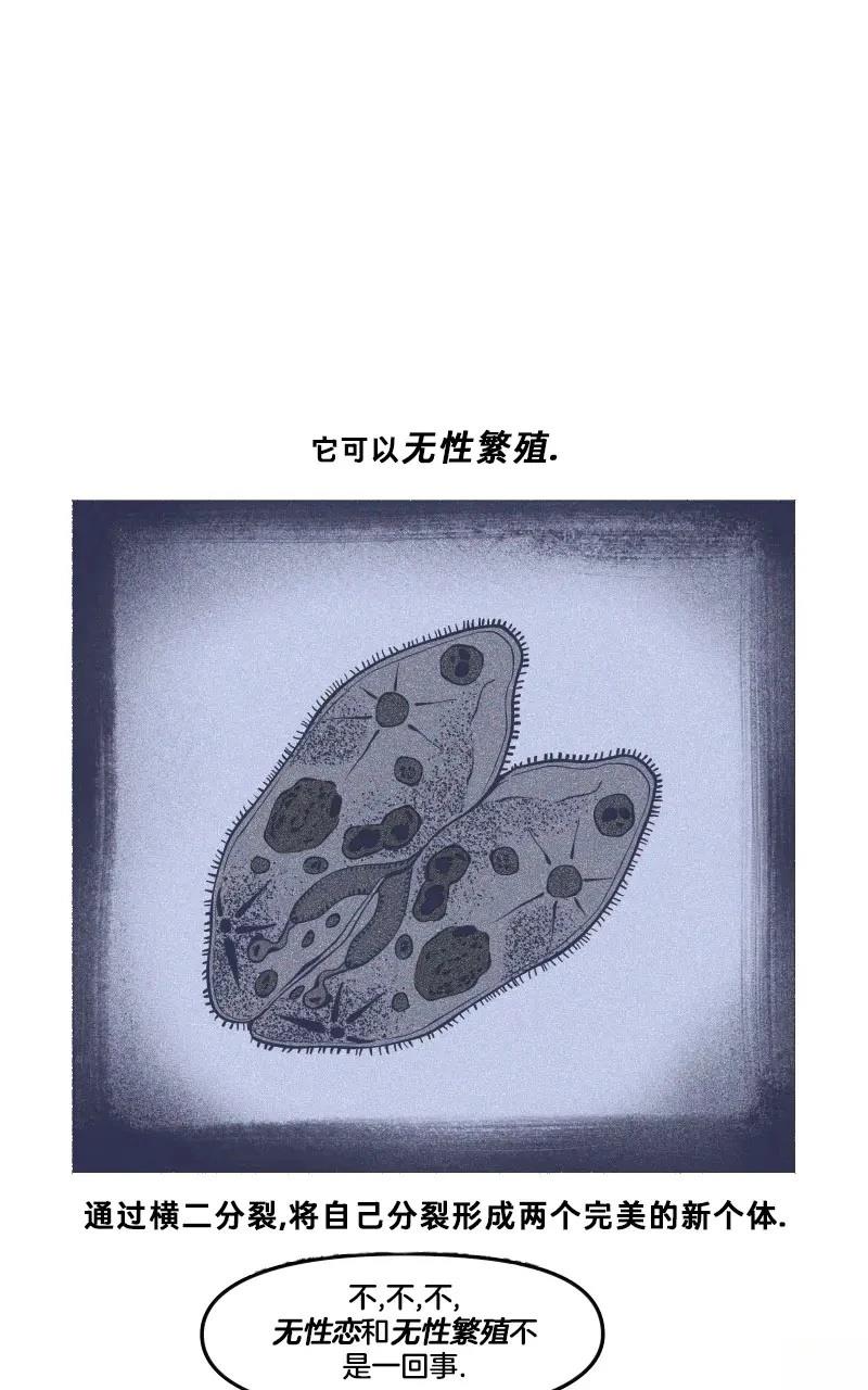 《爱无极限-无限条漫 格温侍篇》格温侍06 第12页