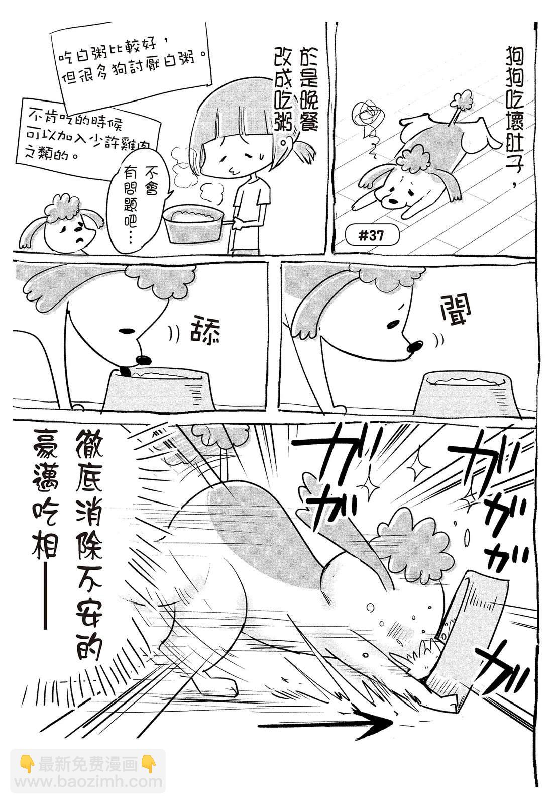《猫狗的爆笑同居生活》第2话 第7页