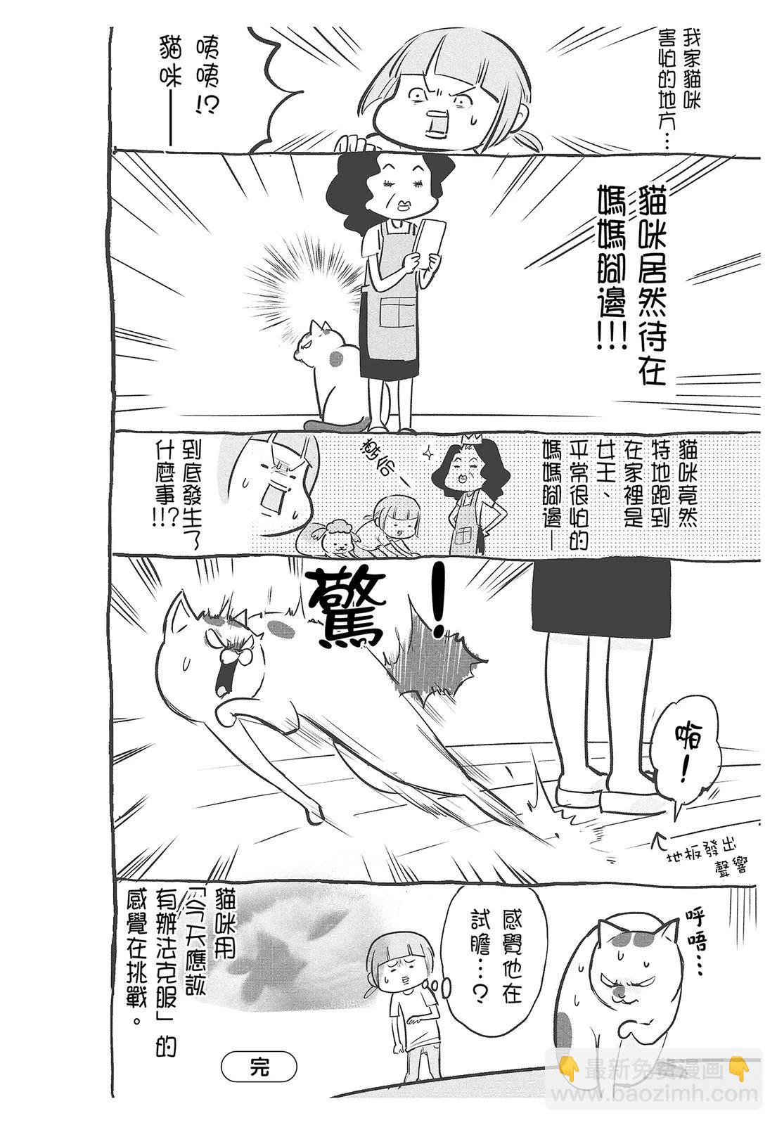 《猫狗的爆笑同居生活》第4话 第38页