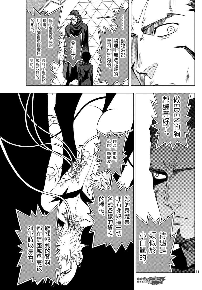 《BIRDMEN》第48话 THE FELLOWSHIP OF THE WING 第11页