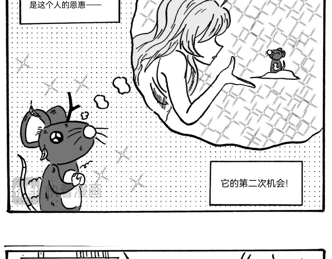 《漫约日常》捡个猫猫有大用 第4页