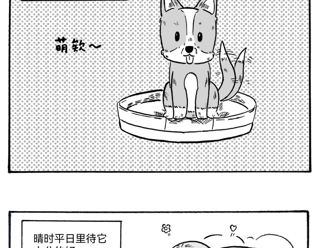 《漫约日常》捡个猫猫有大用 第8页