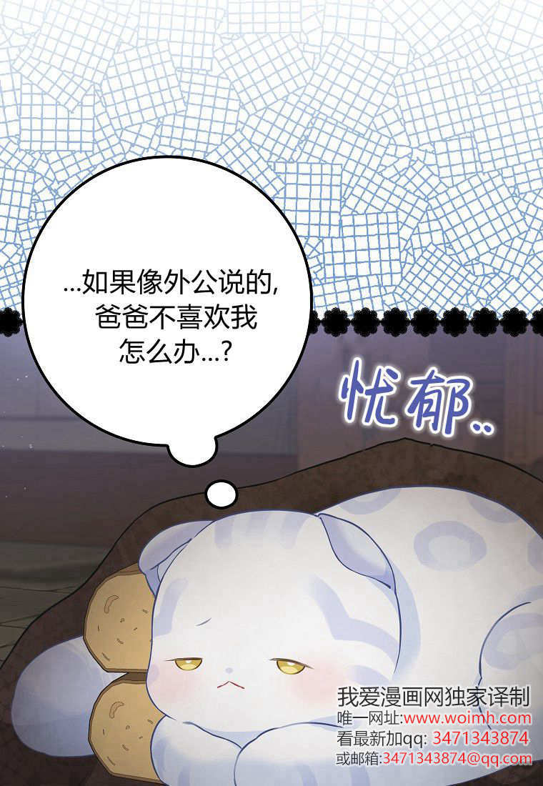 《黑豹家族的雪豹宝宝》第02话 第27页