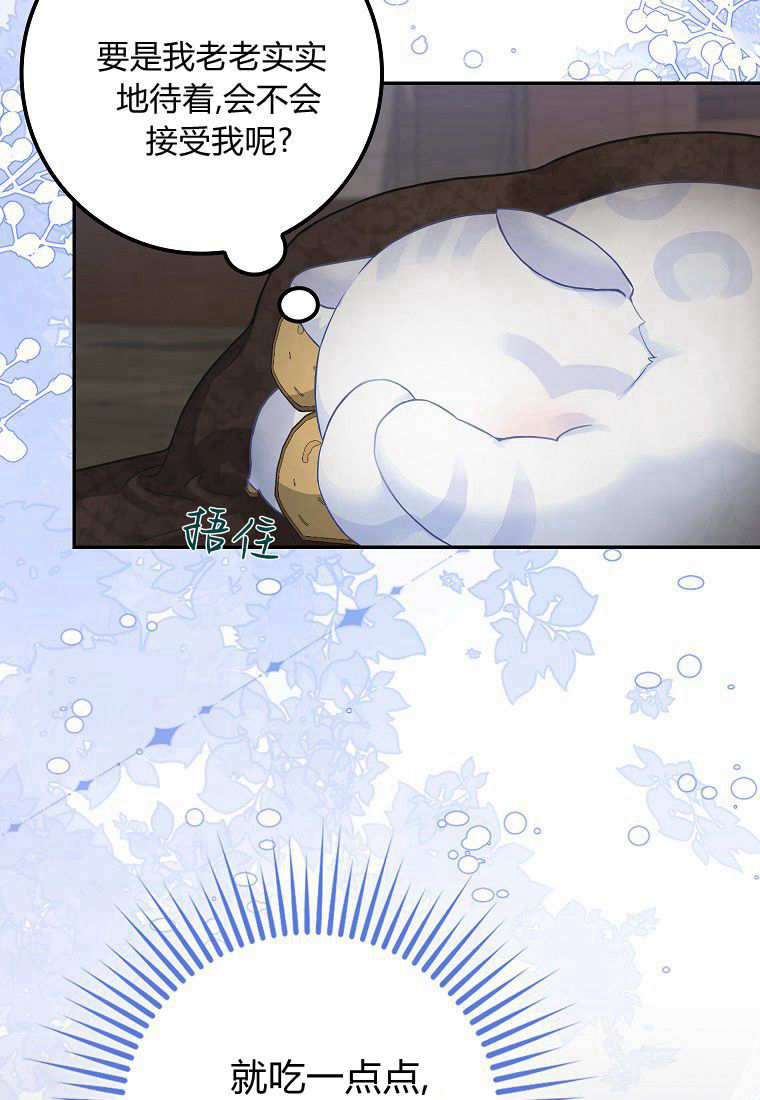 《黑豹家族的雪豹宝宝》第02话 第33页
