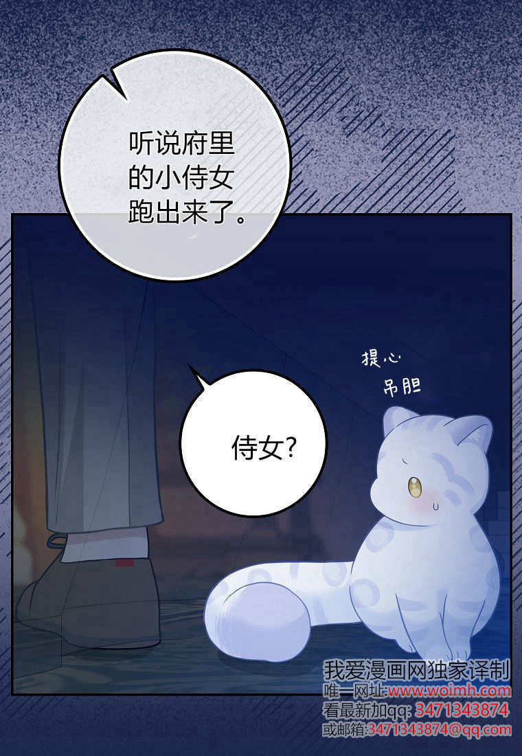 《黑豹家族的雪豹宝宝》第03话 第23页