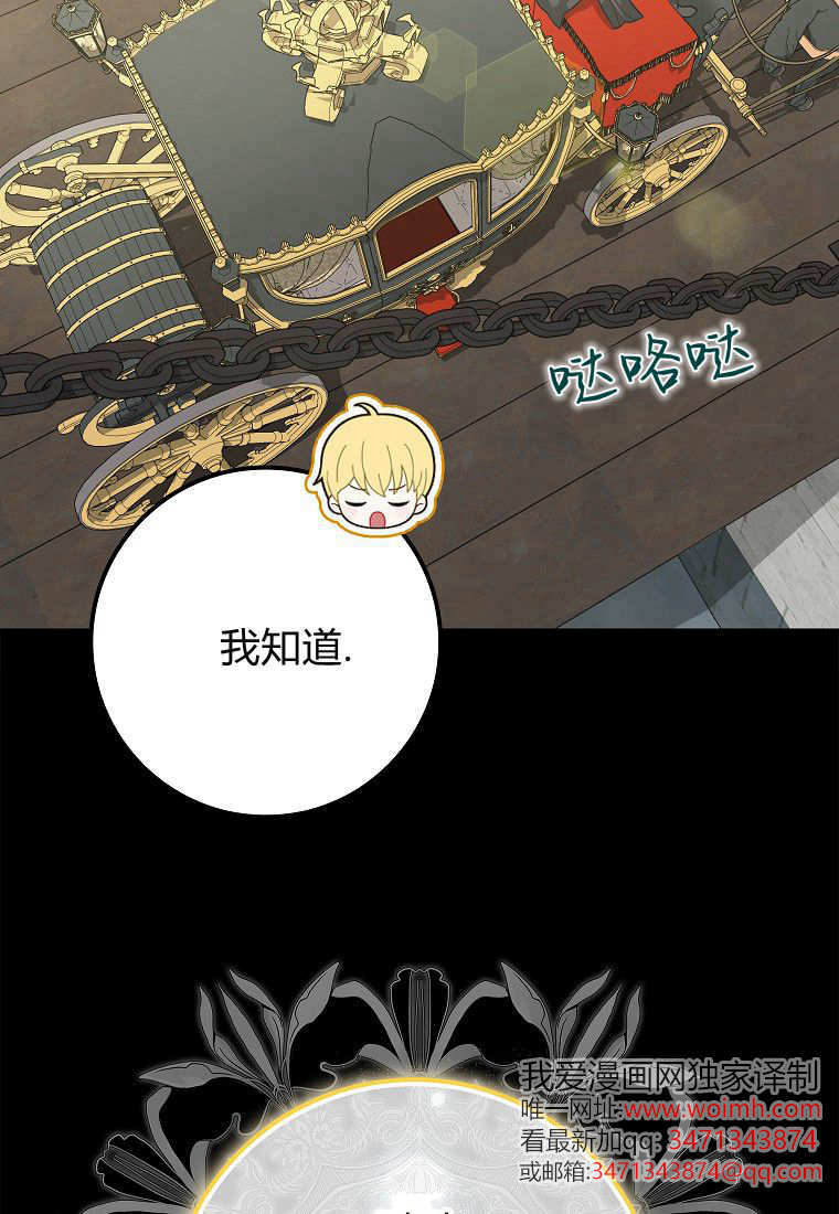 《黑豹家族的雪豹宝宝》第04话 第39页