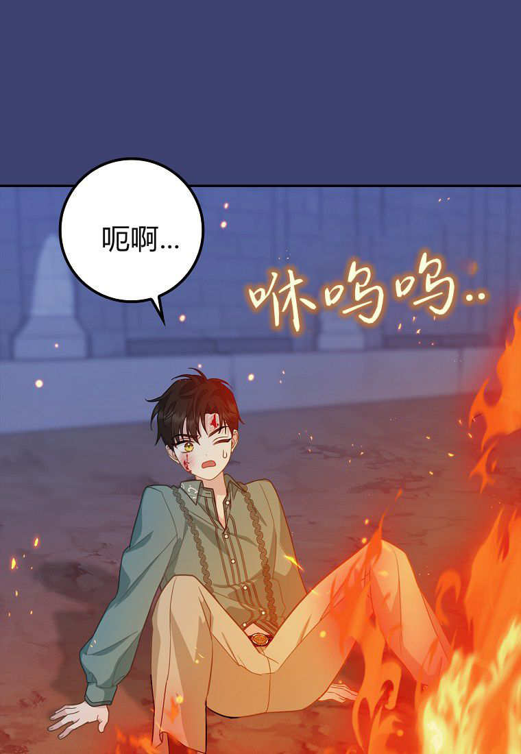 《黑豹家族的雪豹宝宝》第14话 第16页