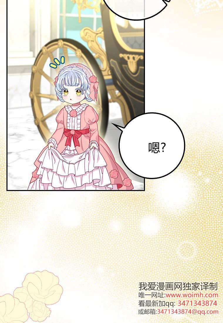 《黑豹家族的雪豹宝宝》第17话 第3页