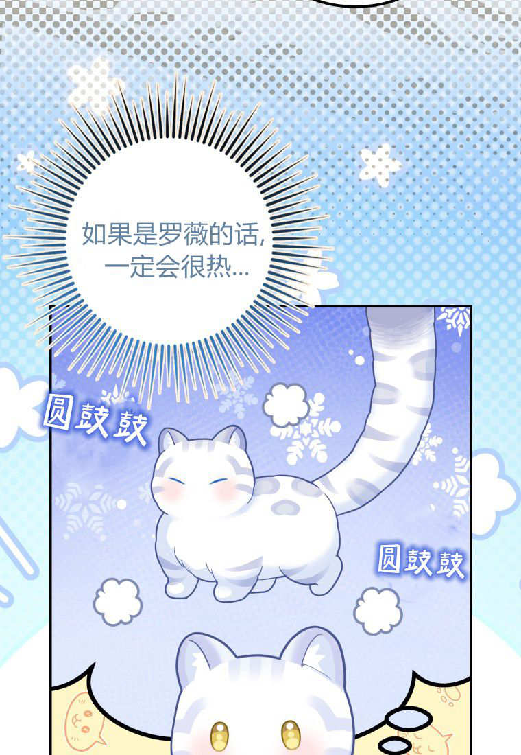 《黑豹家族的雪豹宝宝》第22话 第49页