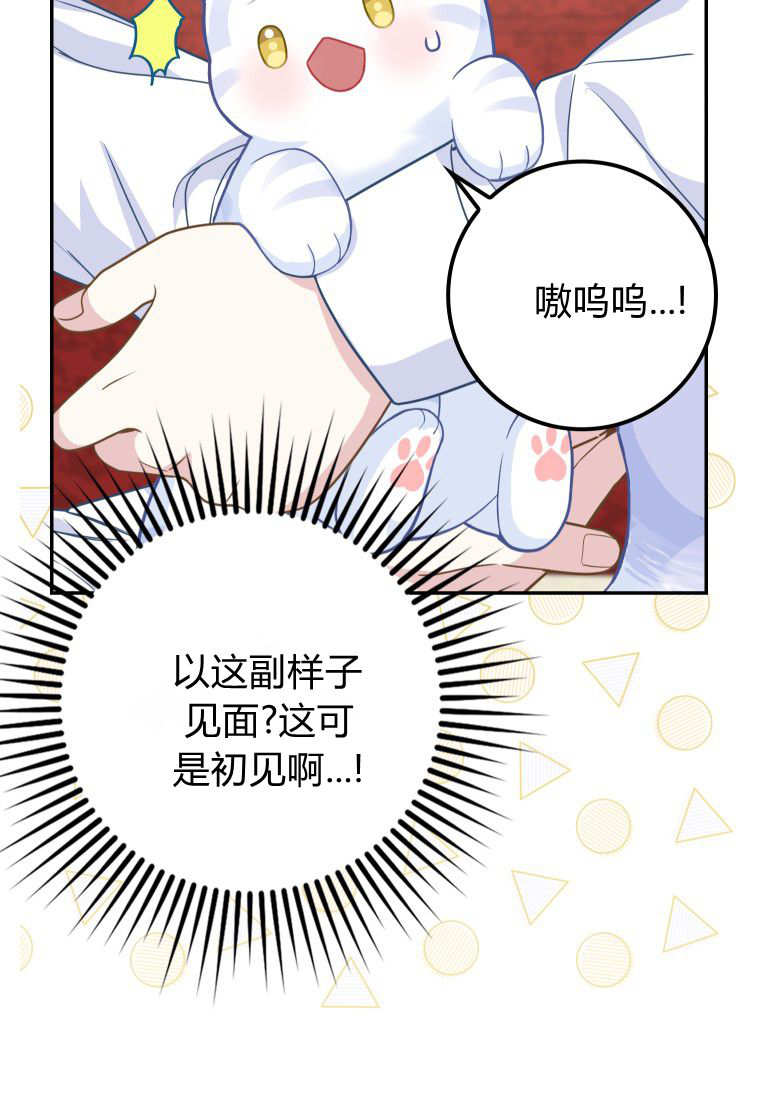《黑豹家族的雪豹宝宝》第22话 第6页