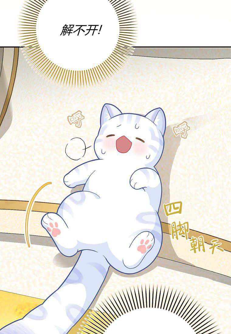 《黑豹家族的雪豹宝宝》第21话 第37页